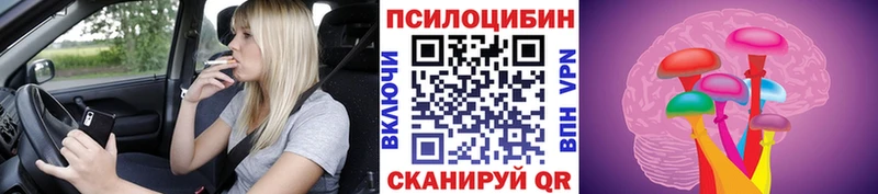 купить  цена  Шагонар  Галлюциногенные грибы Magic Shrooms 